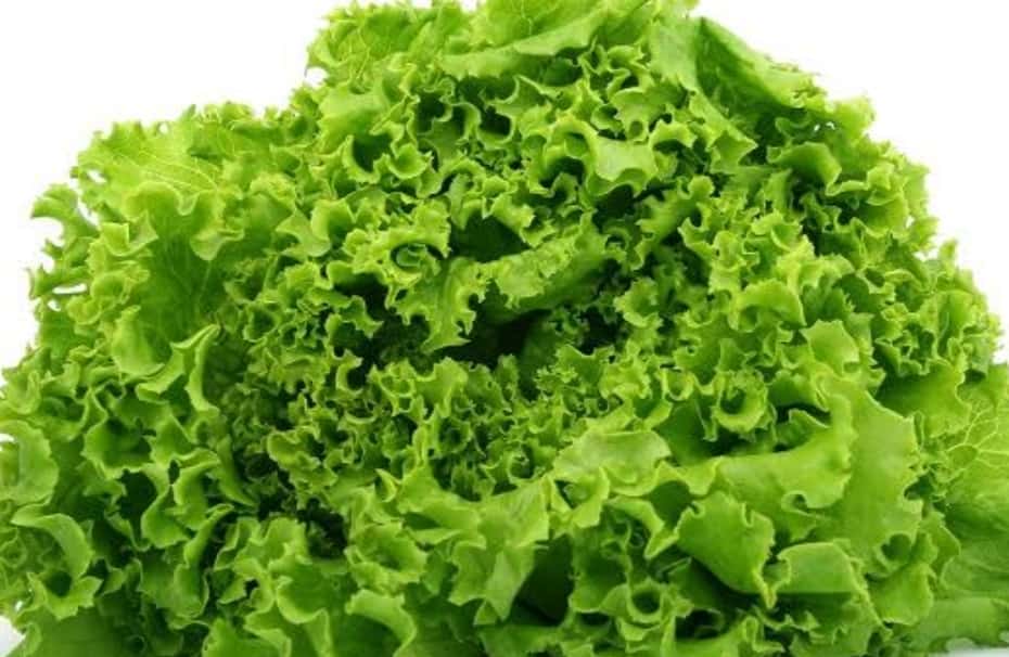 Lettuce